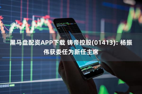 黑马盘配资APP下载 铸帝控股(01413): 杨振伟获委任为新任主席