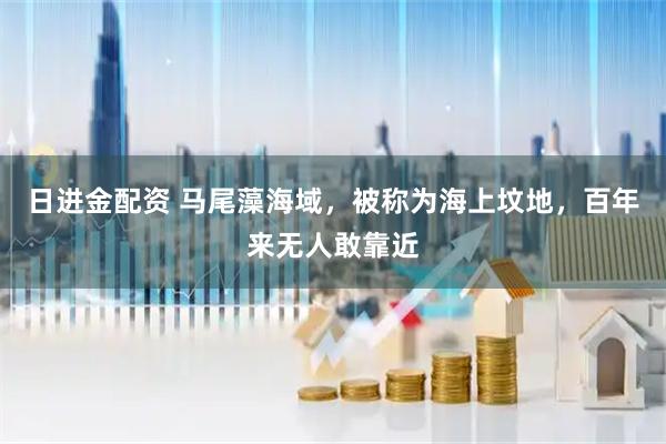 日进金配资 马尾藻海域，被称为海上坟地，百年来无人敢靠近