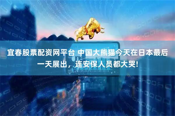宜春股票配资网平台 中国大熊猫今天在日本最后一天展出，连安保人员都大哭!
