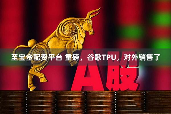 至宝金配资平台 重磅，谷歌TPU，对外销售了