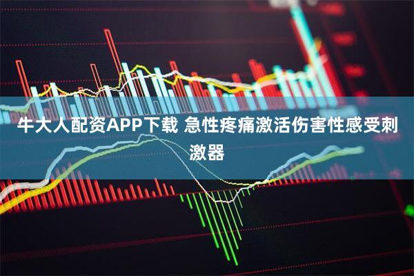 牛大人配资APP下载 急性疼痛激活伤害性感受刺激器